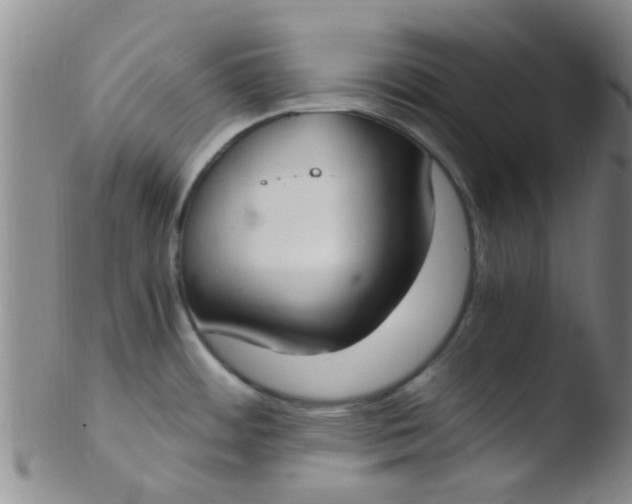 X0000103501484200809262002