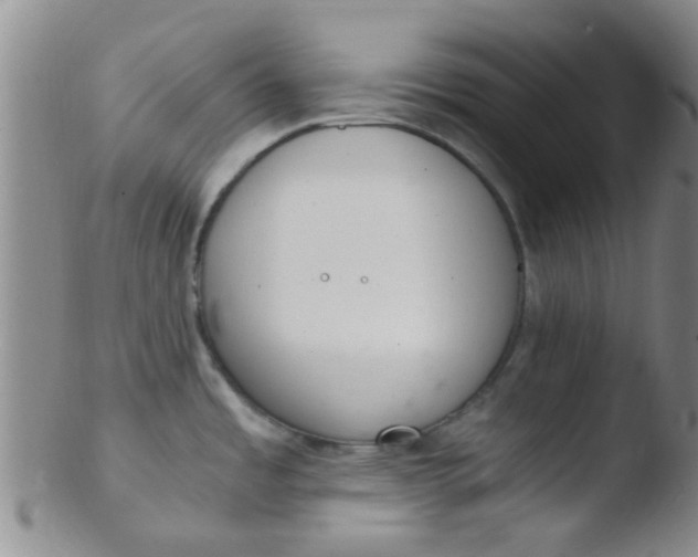 X0000103501485200809262002