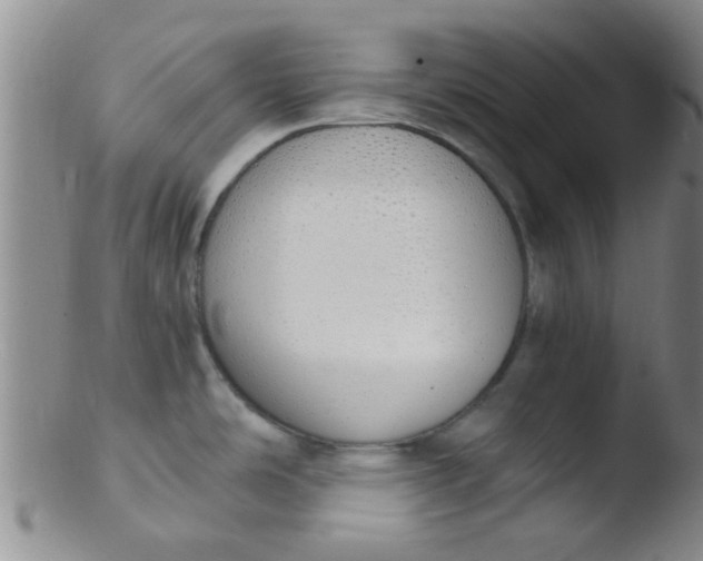 X0000103501486200809262002