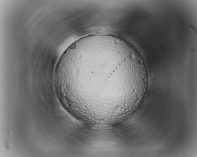 X0000103501487200809262002