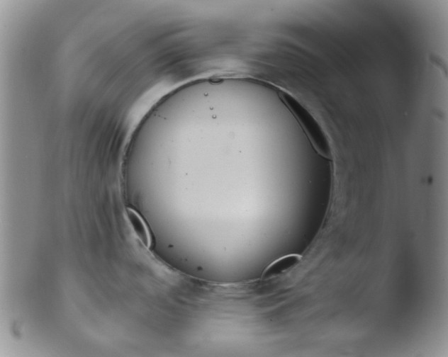 X0000103501488200809262002