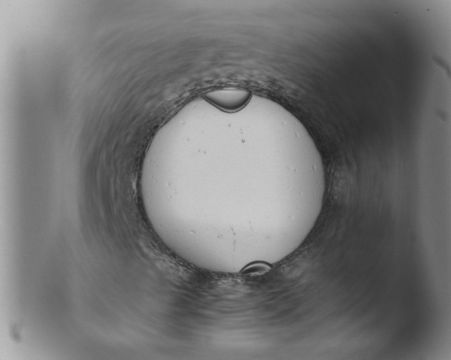 X0000103501489200809262001