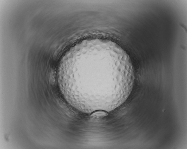 X0000103501490200809262001