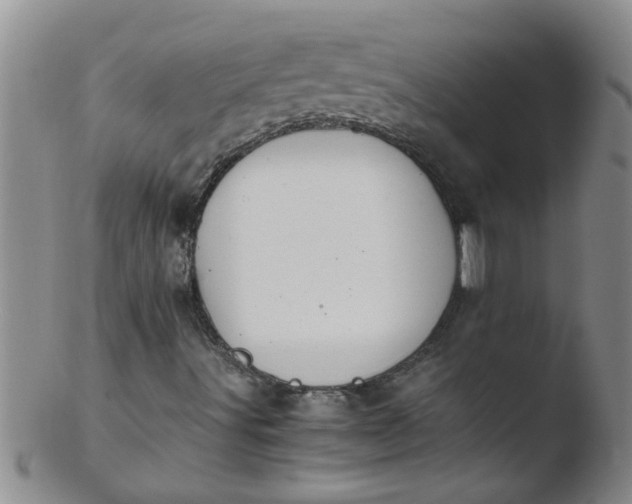 X0000103501491200809262001