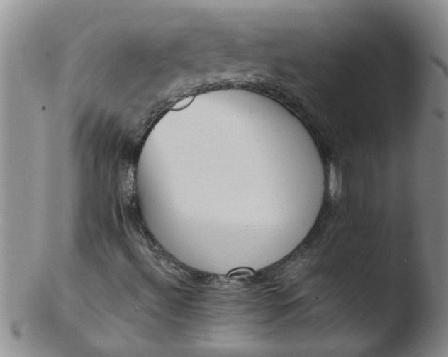 X0000103501492200809262001