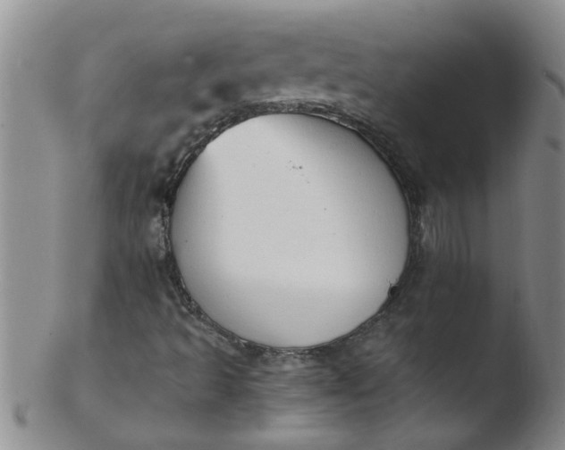 X0000103501493200809262001