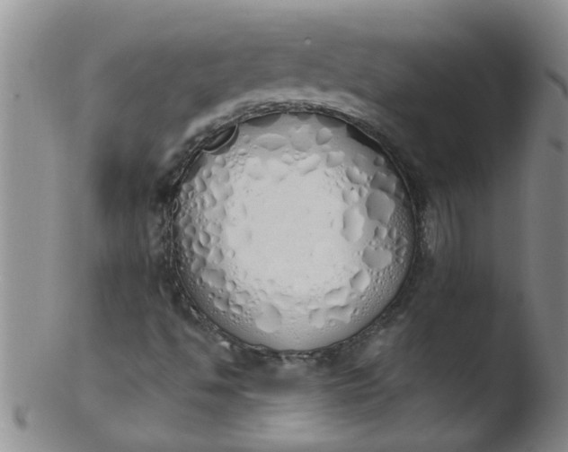 X0000103501494200809262001