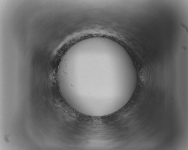 X0000103501495200809262001