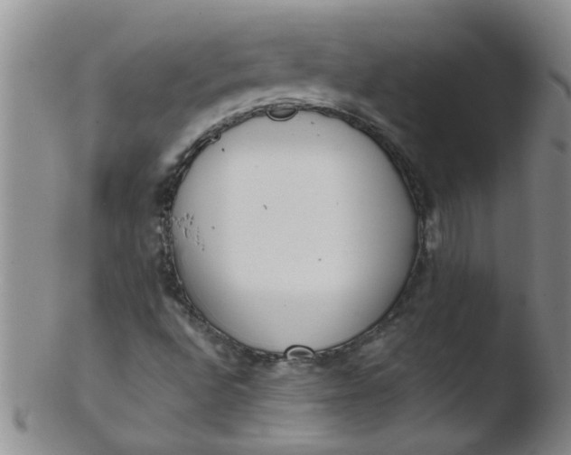 X0000103501496200809262001