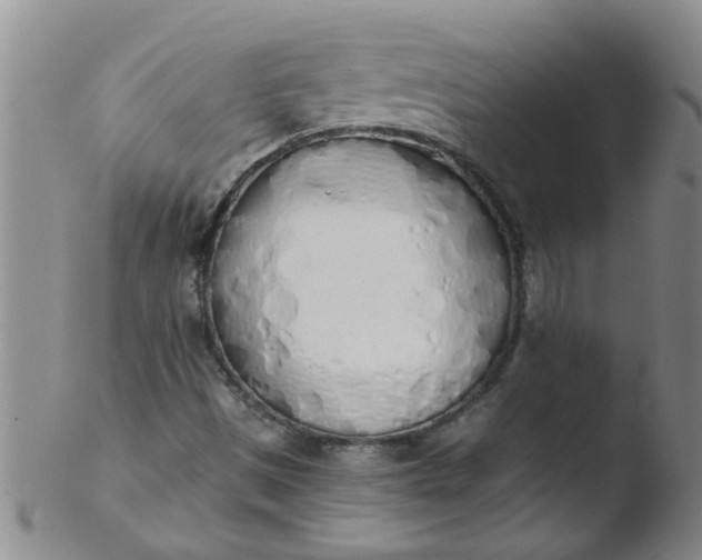 X0000103501497200809262001