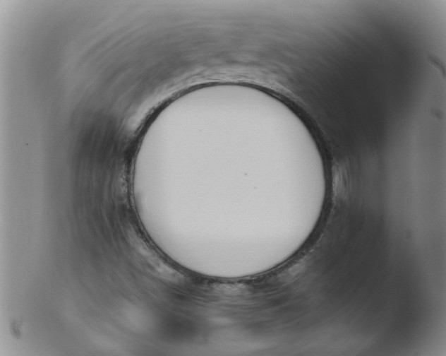 X0000103501498200809262001