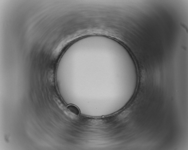 X0000103501499200809262001