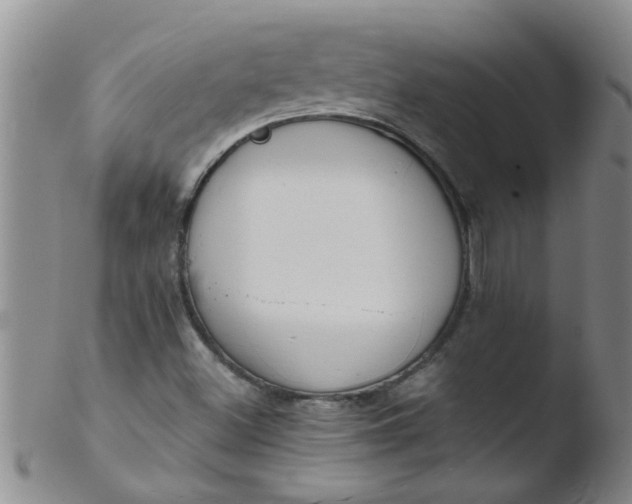 X0000103501500200809262001