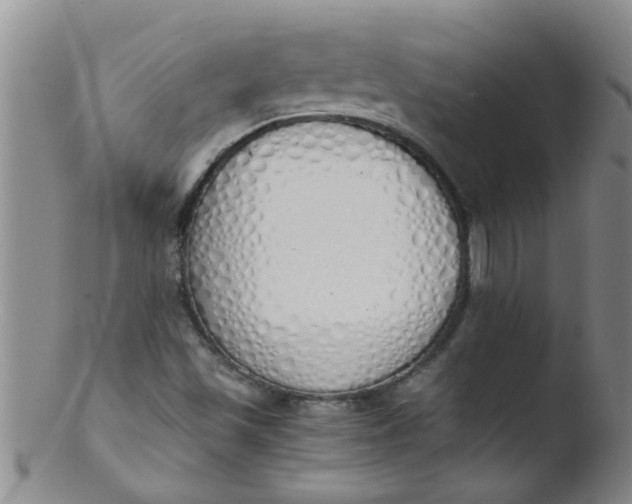 X0000103501501200809262001