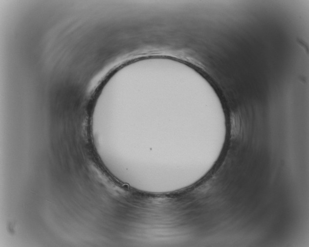 X0000103501502200809262001