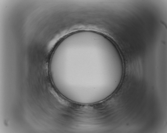 X0000103501503200809262001