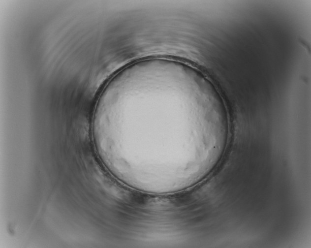 X0000103501505200809262001