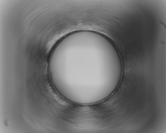 X0000103501507200809262001