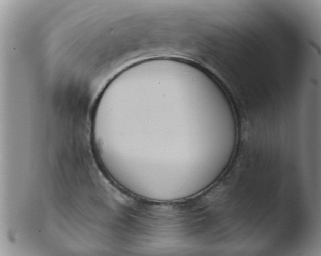 X0000103501508200809262001