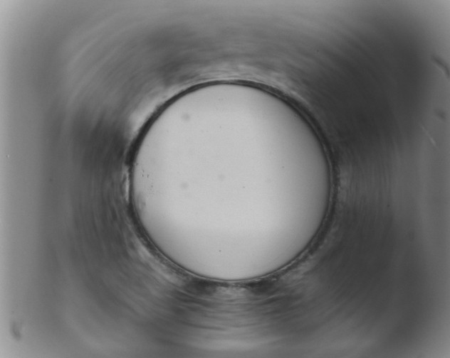 X0000103501509200809262001