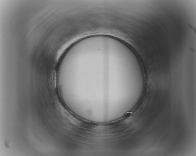 X0000103501510200809262001