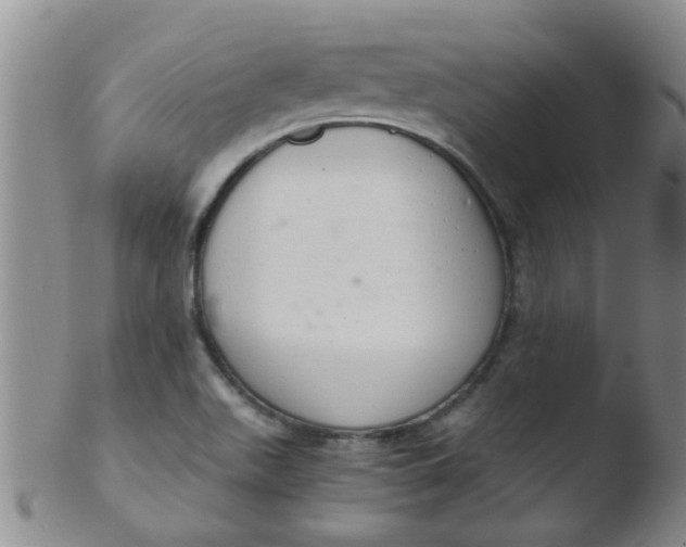 X0000103501511200809262001