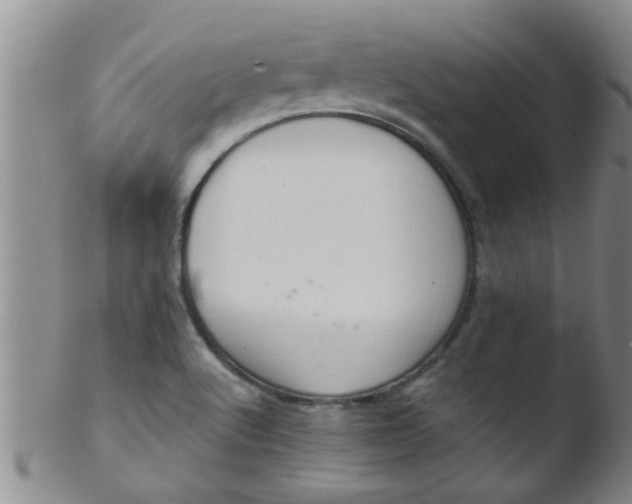 X0000103501512200809262001