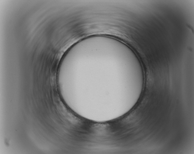 X0000103501513200809262002