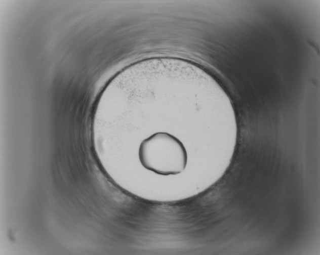 X0000103501514200809262002