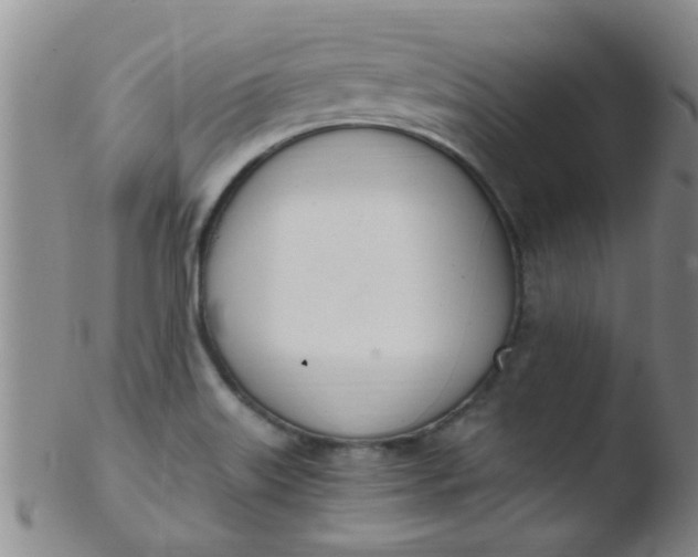 X0000103501515200809262002