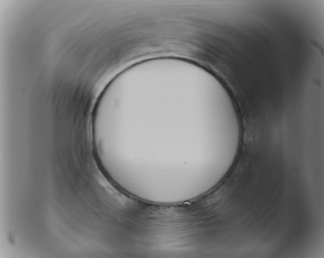 X0000103501516200809262002