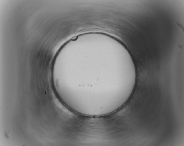 X0000103501518200809262002