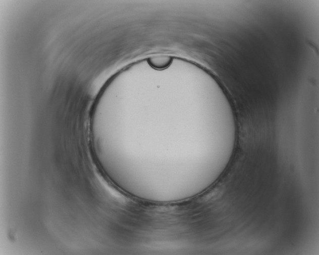 X0000103501519200809262002