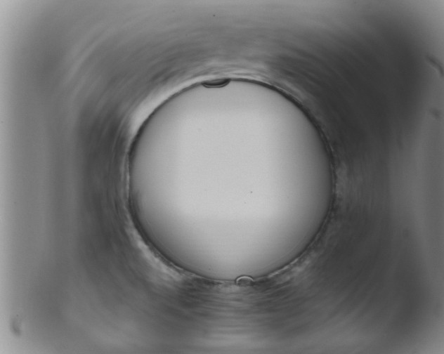 X0000103501520200809262002