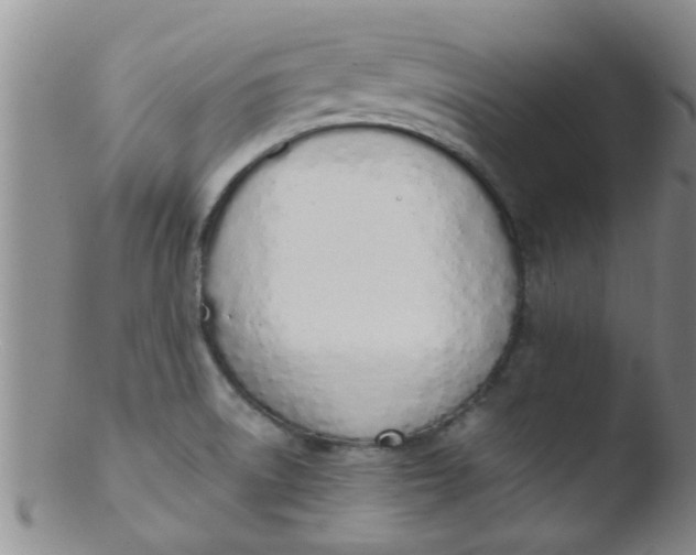 X0000103501522200809262002