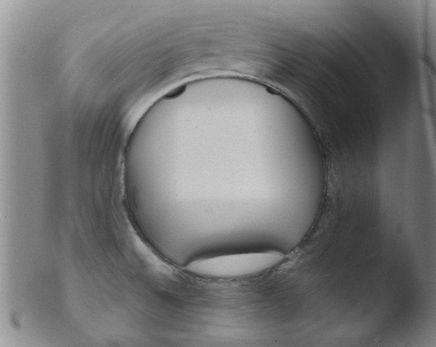 X0000103501524200809262002