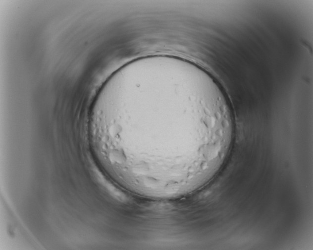 X0000103501525200809262002