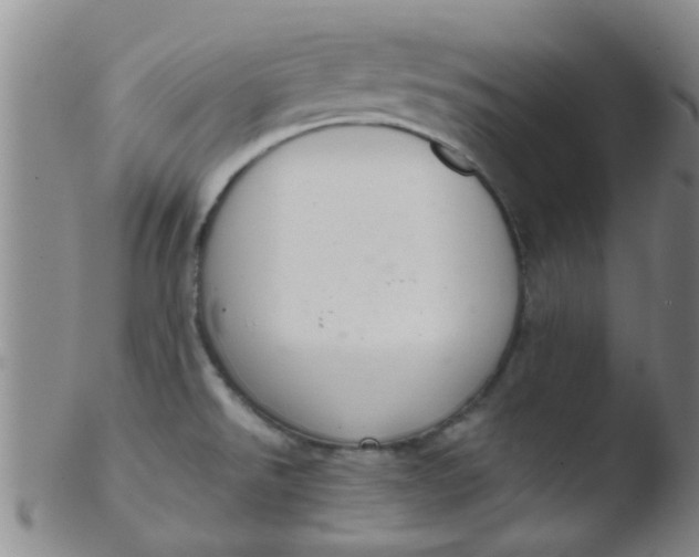 X0000103501526200809262002