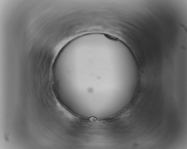 X0000103501527200809262002