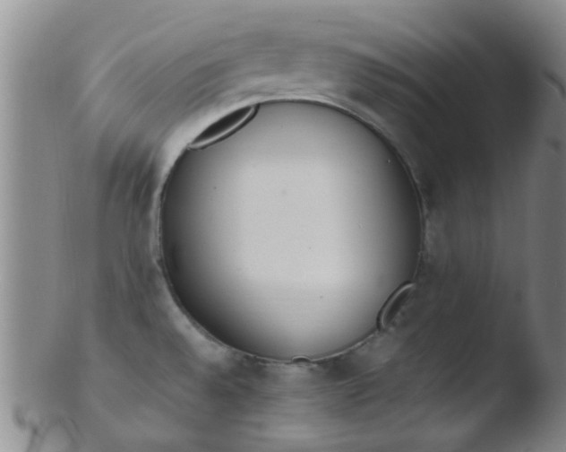 X0000103501528200809262002