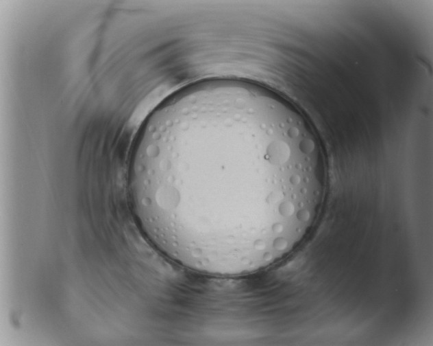 X0000103501529200809262002