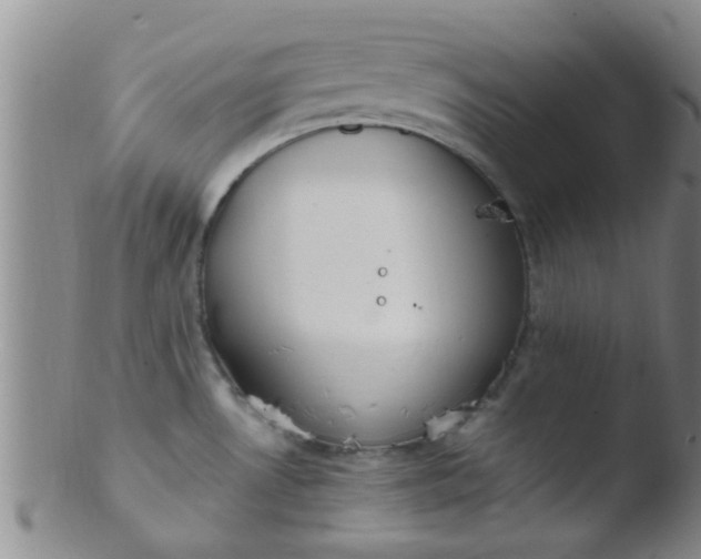 X0000103501530200809262002