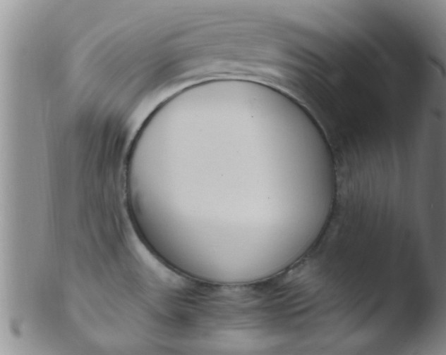 X0000103501531200809262002