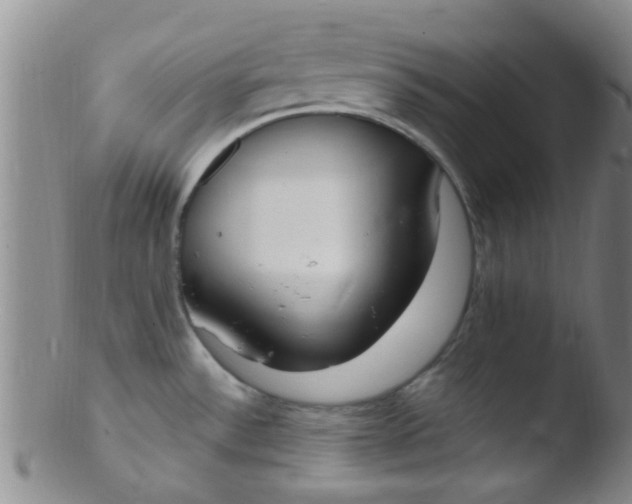 X0000103501532200809262002