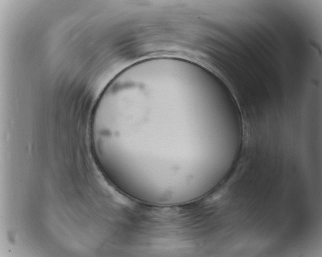 X0000103501533200809262002