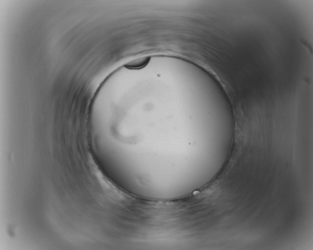 X0000103501534200809262002