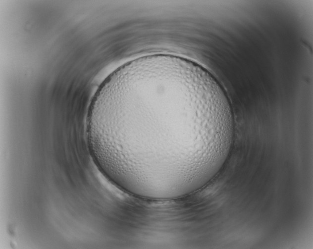 X0000103501535200809262002