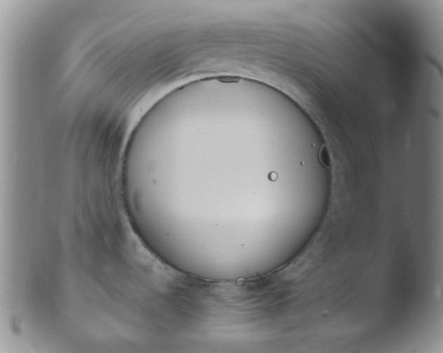 X0000103501536200809262002