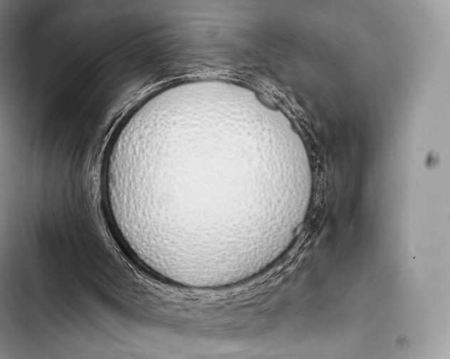 X0000103500002200810031638