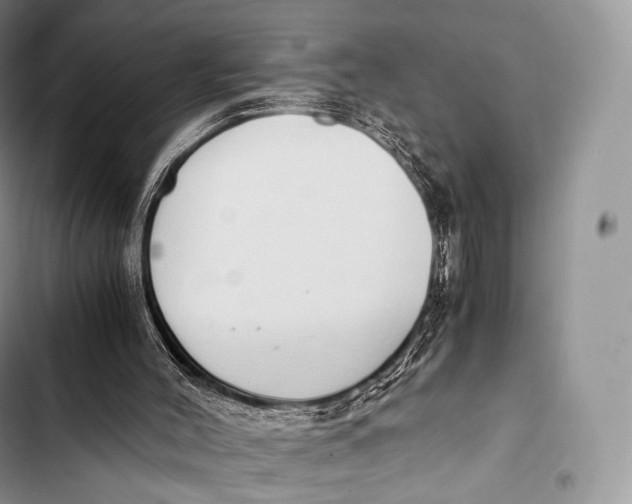 X0000103500004200810031638